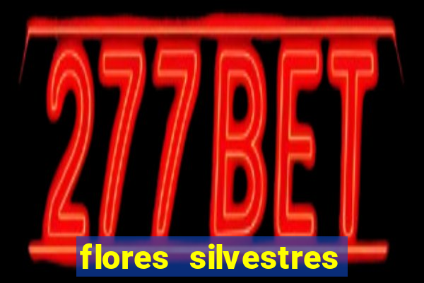 flores silvestres desbravadores desbravadores 25 flores silvestres e seus nomes